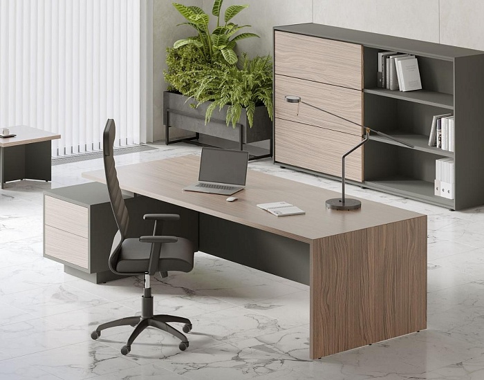 фото кабинет Дали Орех					 №2					