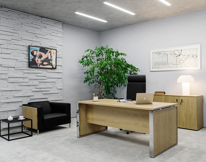 фото кабинет Экзе Дуб					 №3					