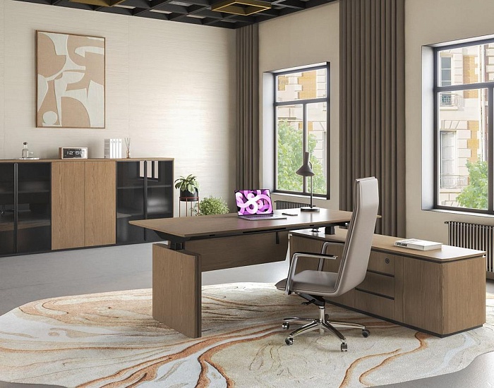 фото Кабинет руководителя Ион					 №4					