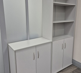 Пеликан-Глассассист