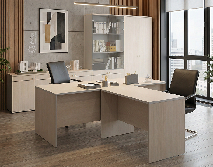 фото кабинет Свифт Шамони					