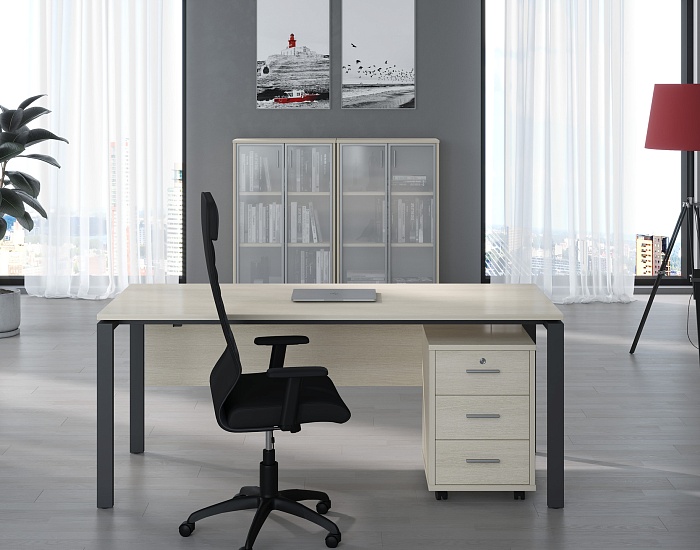 фото кабинет Тренд Металл					 №3					