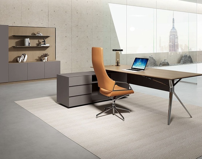 фото кабинет Арес Люкс					 №3					