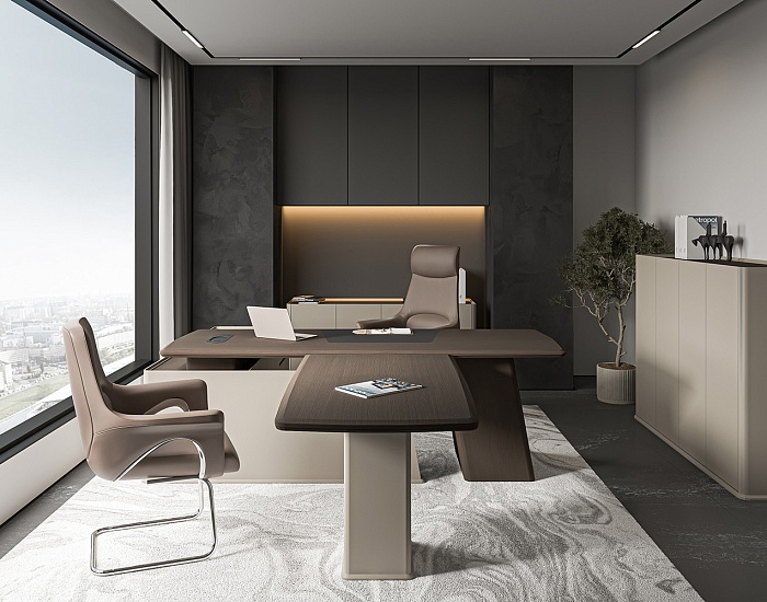 фото кабинет Астон					 №4					