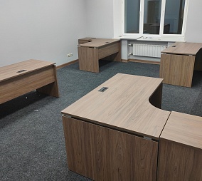 УК Династия