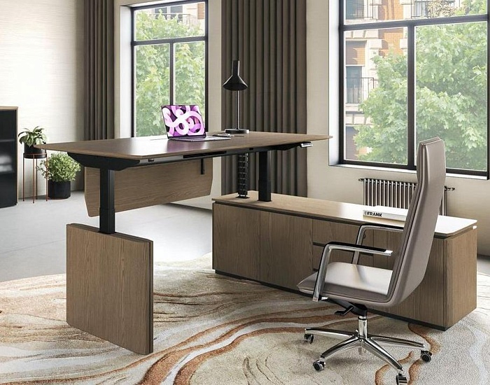 фото Кабинет руководителя Ион					