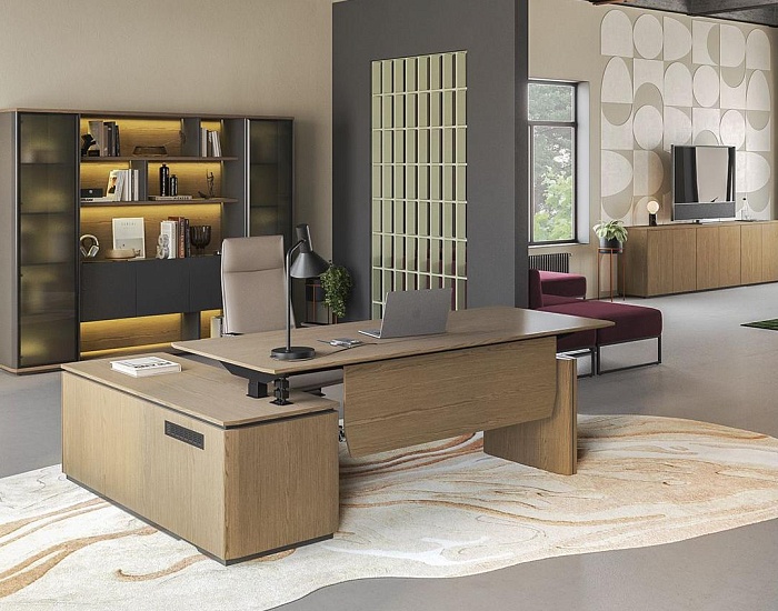 фото Кабинет руководителя Ион					 №2					