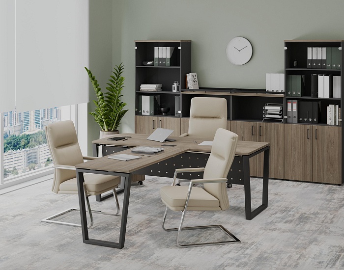 фото кабинет Проджект Вяз Т					 №2					