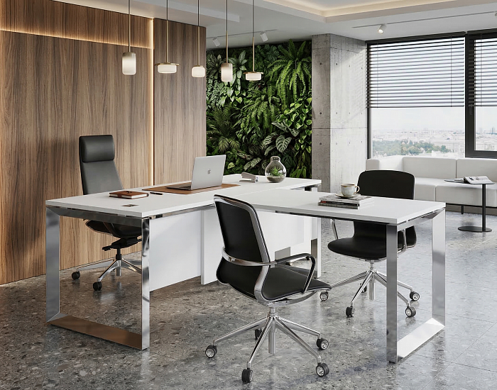 фото кабинет Оникс-О Люкс Белый					