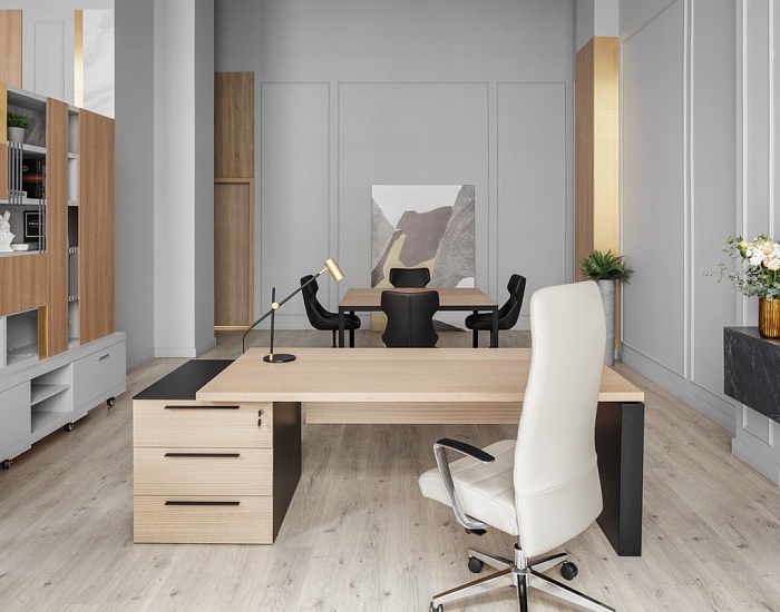 фото кабинет Ренц Лайт					 №3					